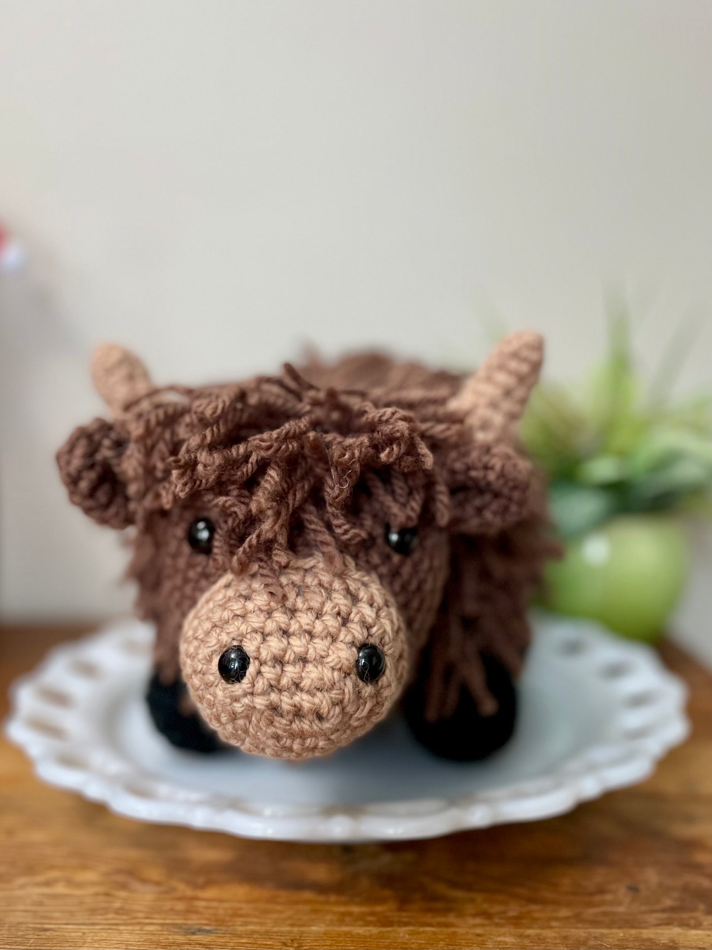 Highland Cow