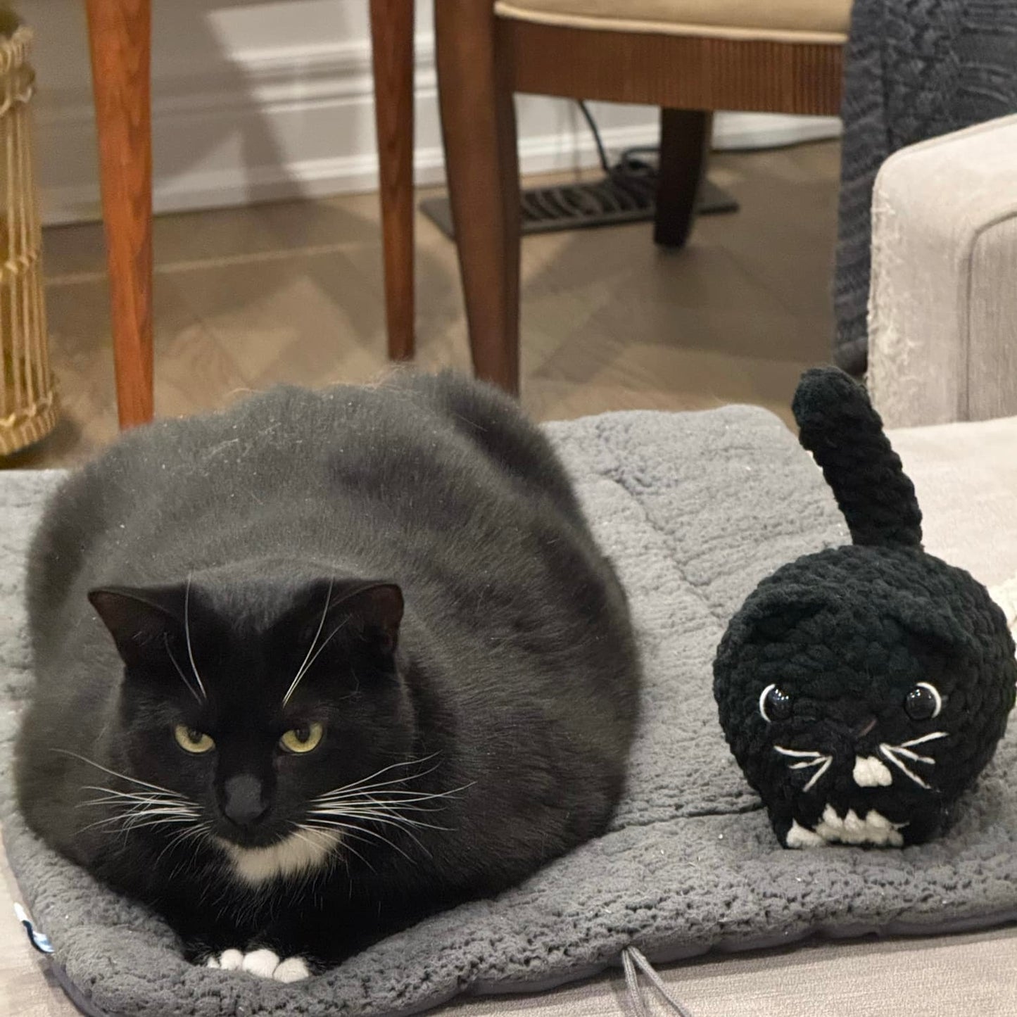 Custom Loaf Cat Plushie